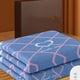 thumbnail image 4 of Manta eléctrica arcoíris de 220/110V, calentadores de manos más gruesos, manta de Sauna infrarroja recargable, calor Kuscheldecke, muebles XF20XP, 4 of 4