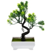 FRCOLOR Realistic Fake Bonsai Tree Small Mini Potted Indoor Desk Plant for Home Office Decoration 23.00X11.30X6.50cm