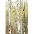 thumbnail image 2 of Pearce, Allison 13x18 Black Ornate Wood Framed with Double Matting Museum Art Print Titled - Serenity Birch, 2 of 4