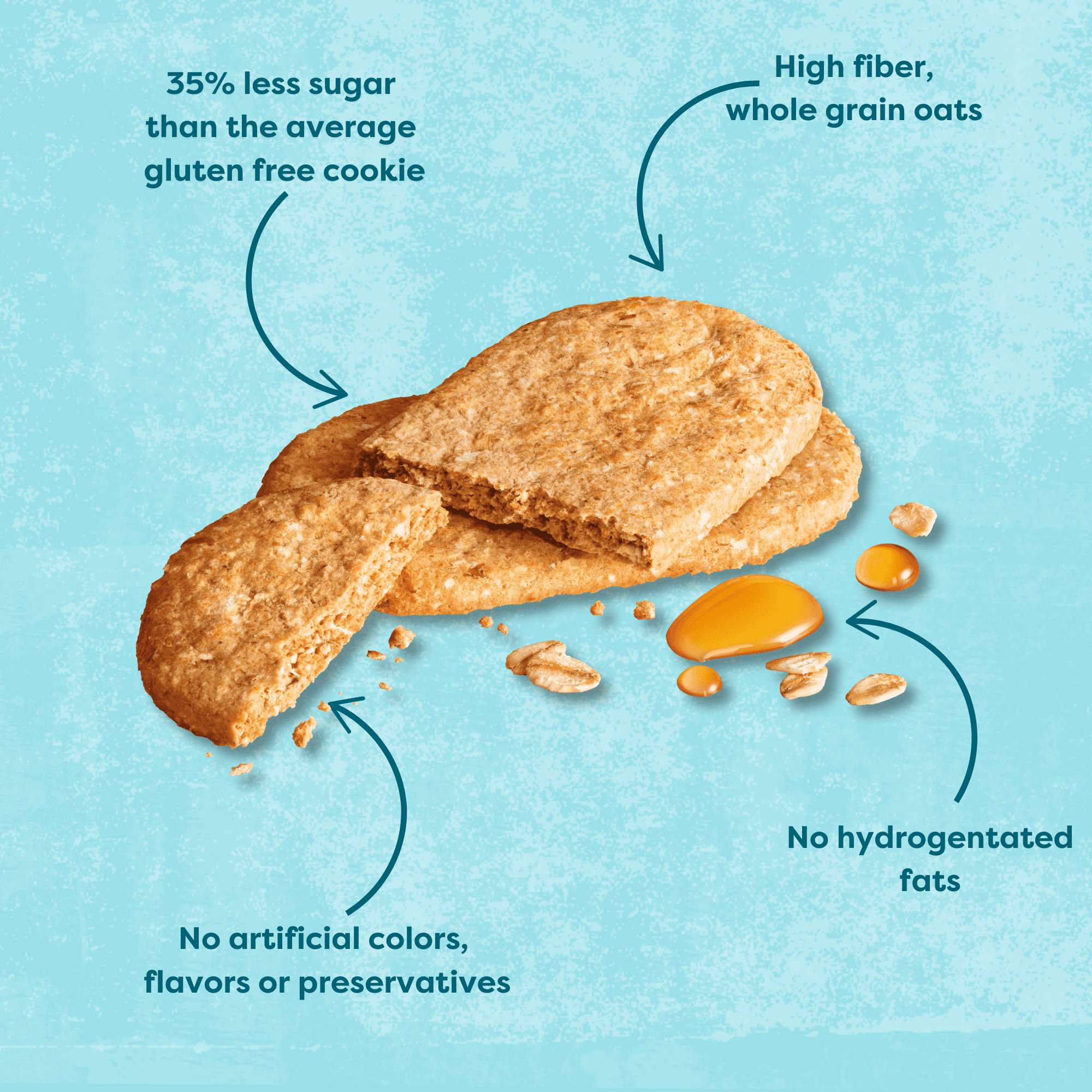 Nairn's Gluten-Free Chocolate Chip Oat Grahams - Healthy, Tasty and Safe for Celiacs. Perfect On-the Go Snack. High Fiber, No Artificial Colors, Flavors, or Preservatives, 5.64oz, Pack of 6