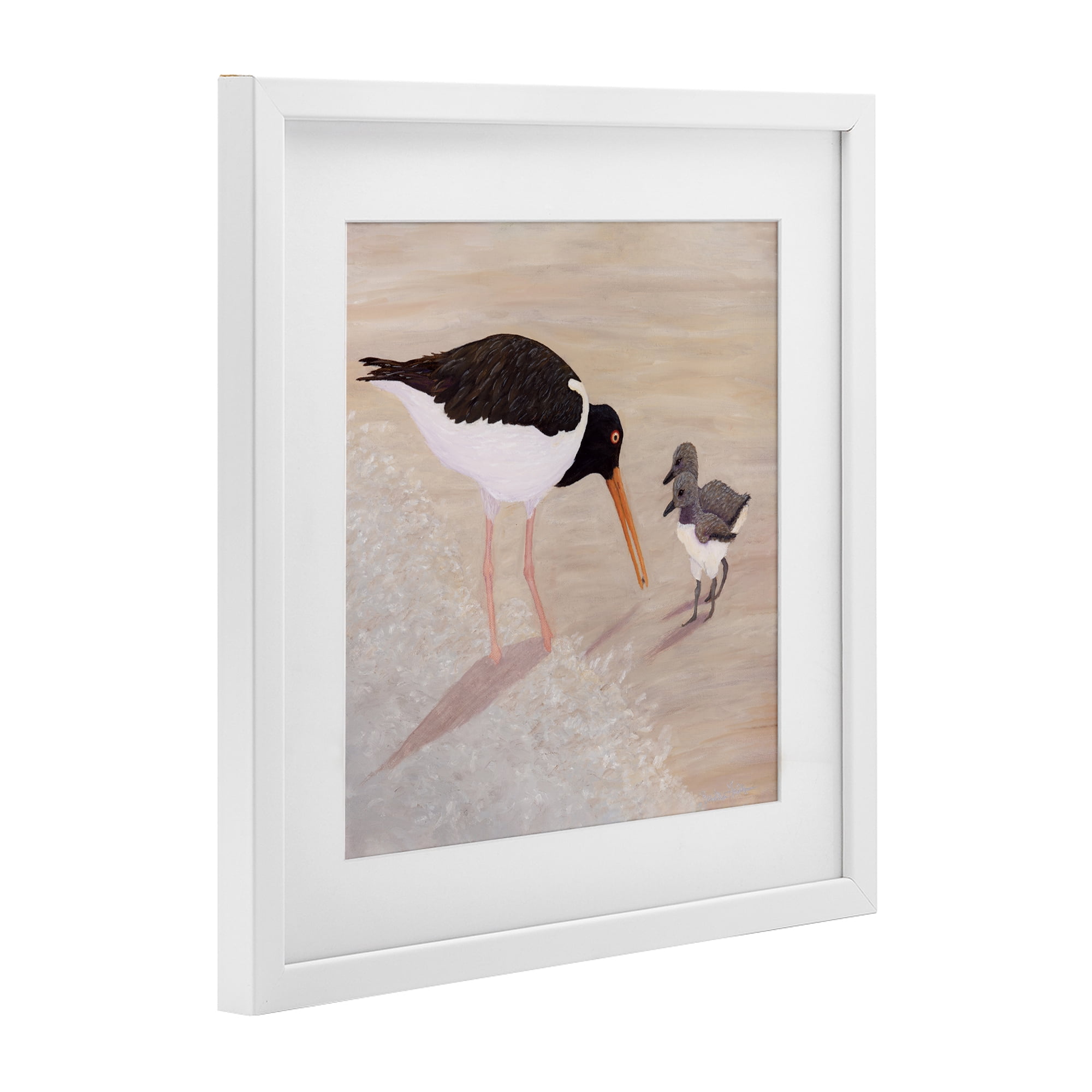 Stupell Industries American Oyster Catcher & Chicks White Framed Print Under Glass, design by Barbara Fallenbaum