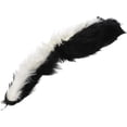 thumbnail image 2 of loftus international skunk spring puppets novelty item, 2 of 3