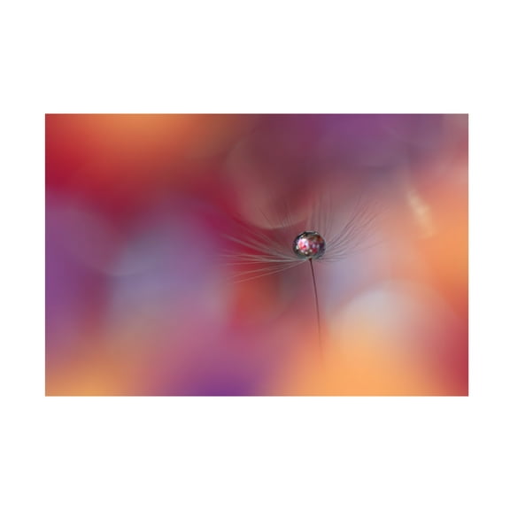 Trademark Fine Art Juliana Nan Echoes Of Hope.. Canvas Wall Art