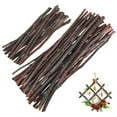 thumbnail image 3 of Greenadscape 50Pcs Craft Sticks Twigs Assorted Color Wood Miniatures Logs Diy Projects Home Decor 30 00X1 00X1 00In, 3 of 8
