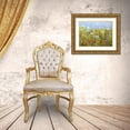 thumbnail image 3 of Friedlander, Allan 14x12 Gold Ornate Wood Framed with Double Matting Museum Art Print Titled - Dandelion Dust, 3 of 4