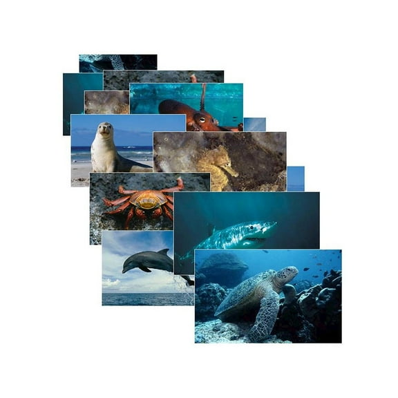 Sea Life Poster Set, Set of 14