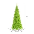 thumbnail image 3 of Vickerman 6.5' Lime Fir Artificial Christmas Tree Unlit -K162565, 3 of 3