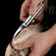thumbnail image 4 of 4 peladores de boca de pescado, desvenadores de camarones, limpiadores profesionales de línea de camarones, peladores de mariscos, 4 of 6