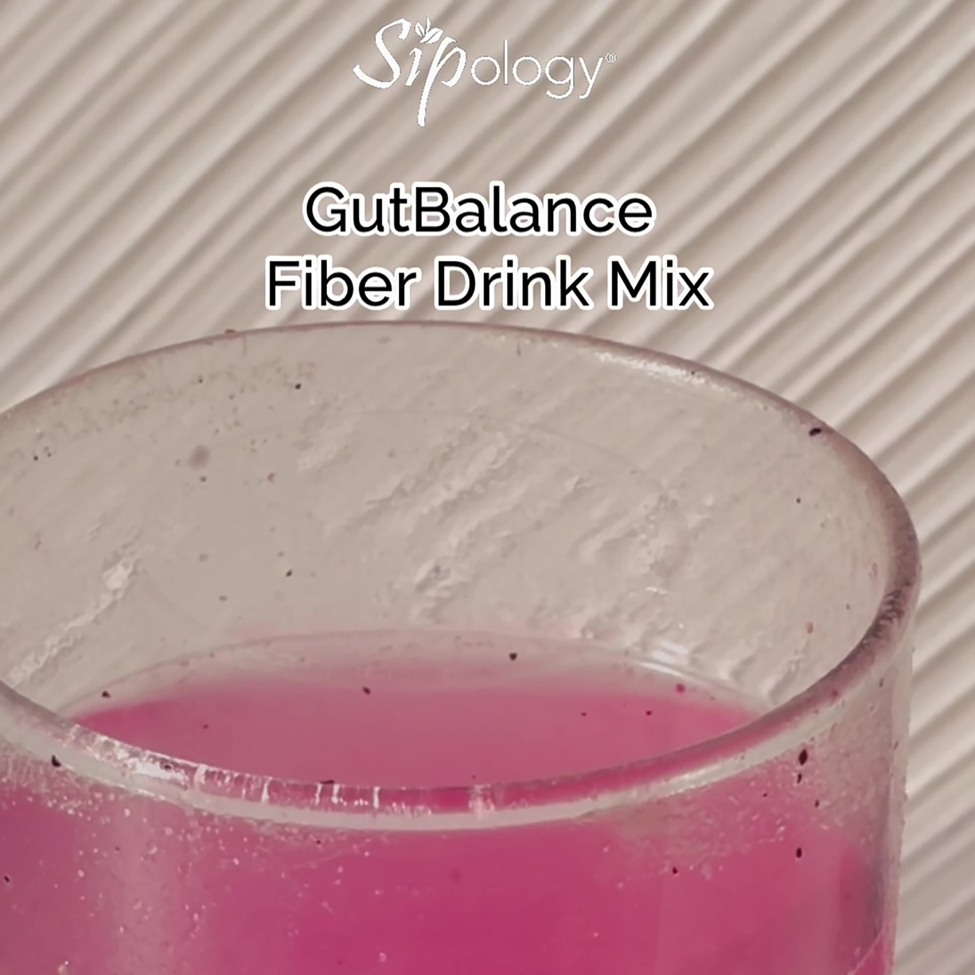 Sipology: GutBalance - Berry Smoothie - 12 Stick Pack - Prebiotic Fiber Mix, Powder Drink, Promote Digestive Health, Organic Stevia, Plant Based-Vegan