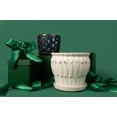thumbnail image 5 of Repotme Orchid Pot - 6 Inch Ceramic Pot With Holes, Pinwheel Fluted (White Diamond) - Includes Free 6 Inch Slotted Liner, 5 of 5