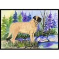 thumbnail image 1 of Carolines Treasures SS8009MAT Tapis Intérieur Extérieur Mastiff 18 x 27 Po, 1 of 4
