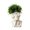 B, variant on Orangide Skull Planters Ceramic White Halloween Tabletop Decor for Plant Plants Home Office Desk Shelf Display Living Room