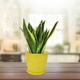 thumbnail image 7 of REGALWOVEN 19cm Dia Home Garden Plastic Round Plant Flower Pot Yellow, 7 of 7