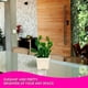 thumbnail image 5 of Bonsái de cactus artificiales, plantas tropicales artificiales, decoraciones creativas, 5 of 5