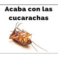 thumbnail image 3 of Max Force Gel Bayer Mata Cucarachas Y 2 Cannibal Cebo, 3 of 4