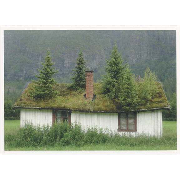 Palm Press House with Grass and Evergreen Trees Growing on Roof Box of 10 Christmas / Holiday Cards