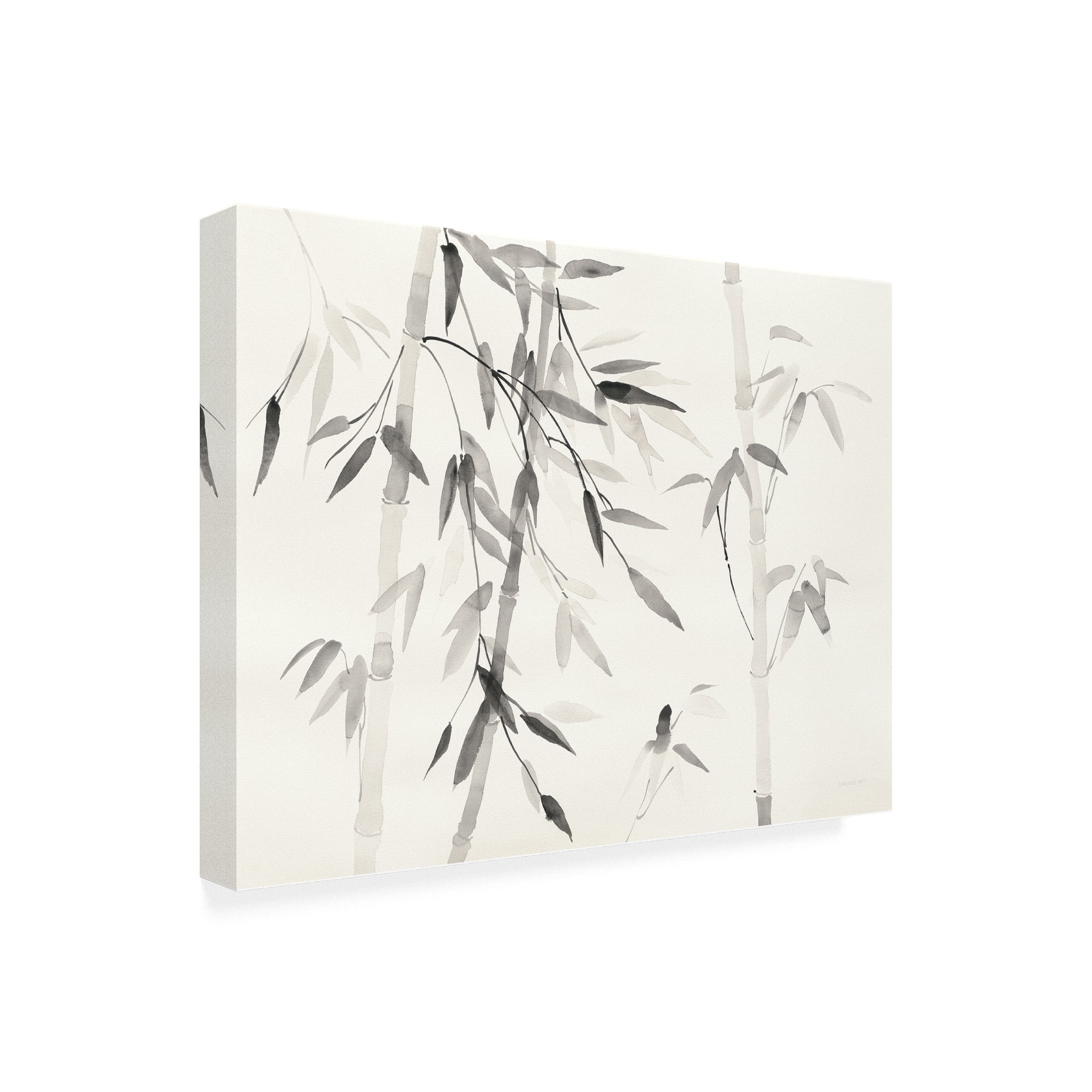 Trademark Fine Art 'Bamboo Leaves III' Canvas Art by Danhui Nai