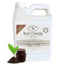 Worm Castings Tea Plant Juice with Bat and Seabird Guanos. Soil Candy, 8oz. with Added Seaweed Extract and Humic Acid. Soil Restorer - Plant Fertilizer - Compost Starter