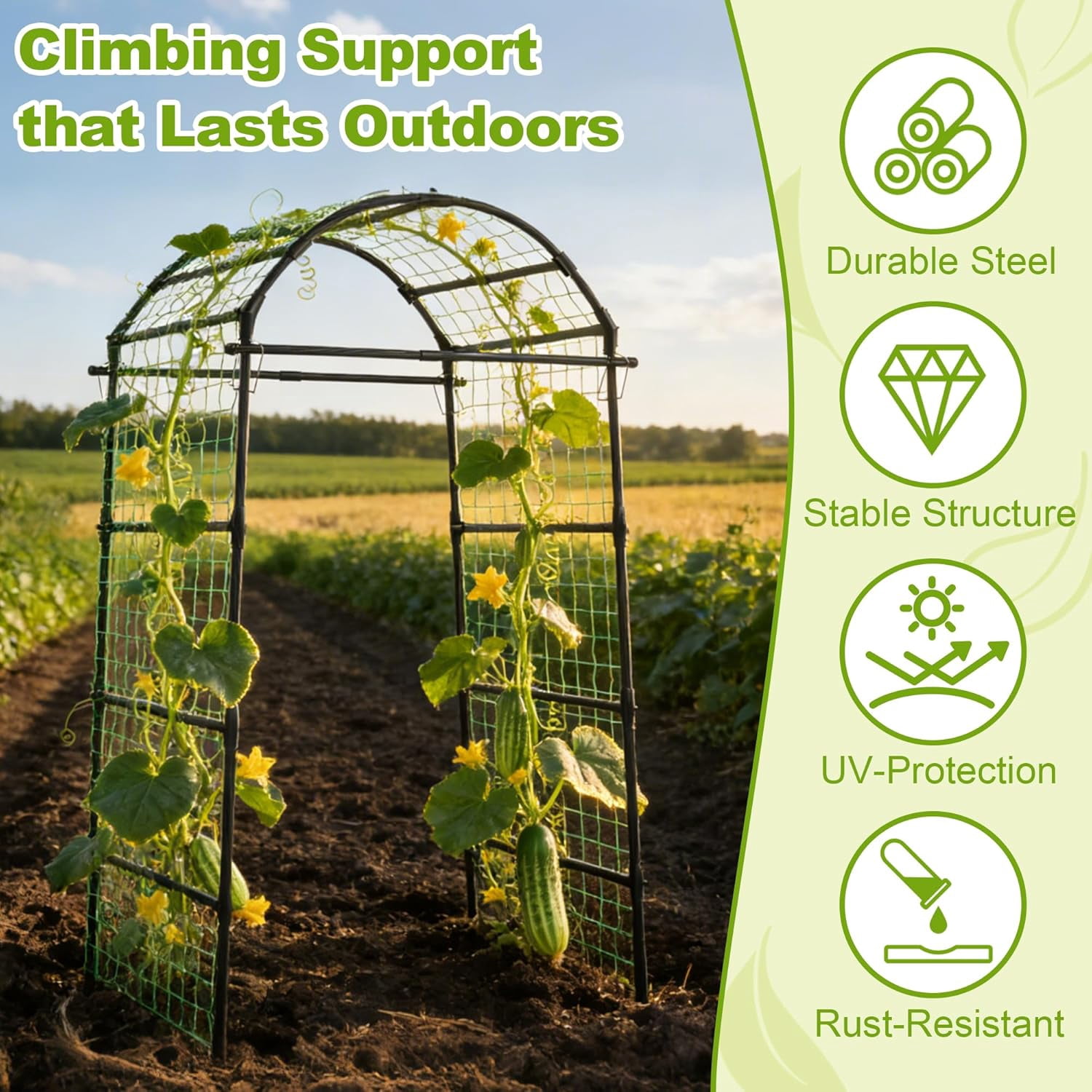 Garden Arch Trellis for Climbing Plants Outdoor, Metal Plants Support Trellis for Climbing Vine Tomato Vegetable Flower Fruit, Cucumber Trellis for Raised Bed (32 x 83 Inch)