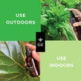 thumbnail image 4 of Big Leaf Energy - Organic - Ready to use Neem Spray + Essential Oils - Shine. Protect. Defend. (4OZ Sample), 4 of 6