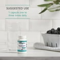thumbnail image 5 of NutriCology Zinc Citrate - Delivers 50 mg Zinc Citrate - Supports Immune Response, Cognitive Health & Cellular Function - 60 Servings - 60 Capsules, 5 of 6