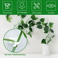 thumbnail image 5 of 100PCS Plant Climbing Wall Clips, Plant Clips for Climbing Plants, Plant Wall Clips, Wall Plant Holder, Plant Hook for Wall Vine Clips Plant Pins for Indoor Plants and Outdoor (100PCS, Green), 5 of 9
