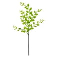 thumbnail image 2 of TaTaai 3Pcs Artificial Greenery Stems Faux Plastic Boxwood Plants Spring Fake Leaf Twig Branches for DIY Bouquets Home Floral Arrangement Table Centerpieces Vase Decor, 2 of 6