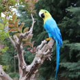 thumbnail image 2 of koolsoo Artificial Bird Feather Foam Simulation Parrot Home Garden Decor A A, 2 of 9