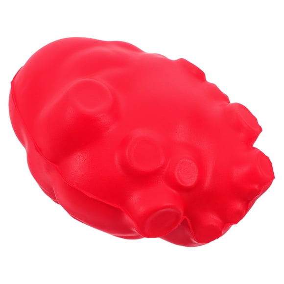 Minkissy Simulation Heart Model for Teaching Biology Labs and Medical Education Realistic Organ Decor