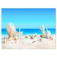 thumbnail image 2 of Design Art - Seashells on Tropical Beach, 2 of 3