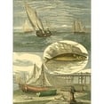 thumbnail image 3 of Vision Studio 15x18 Black Modern Framed Museum Art Print Titled - Fishermans Vignette III, 3 of 5