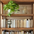 thumbnail image 3 of Greenport 72" Bookcase, Solid Wood with a Brushed Walnut Finish, 3 of 12