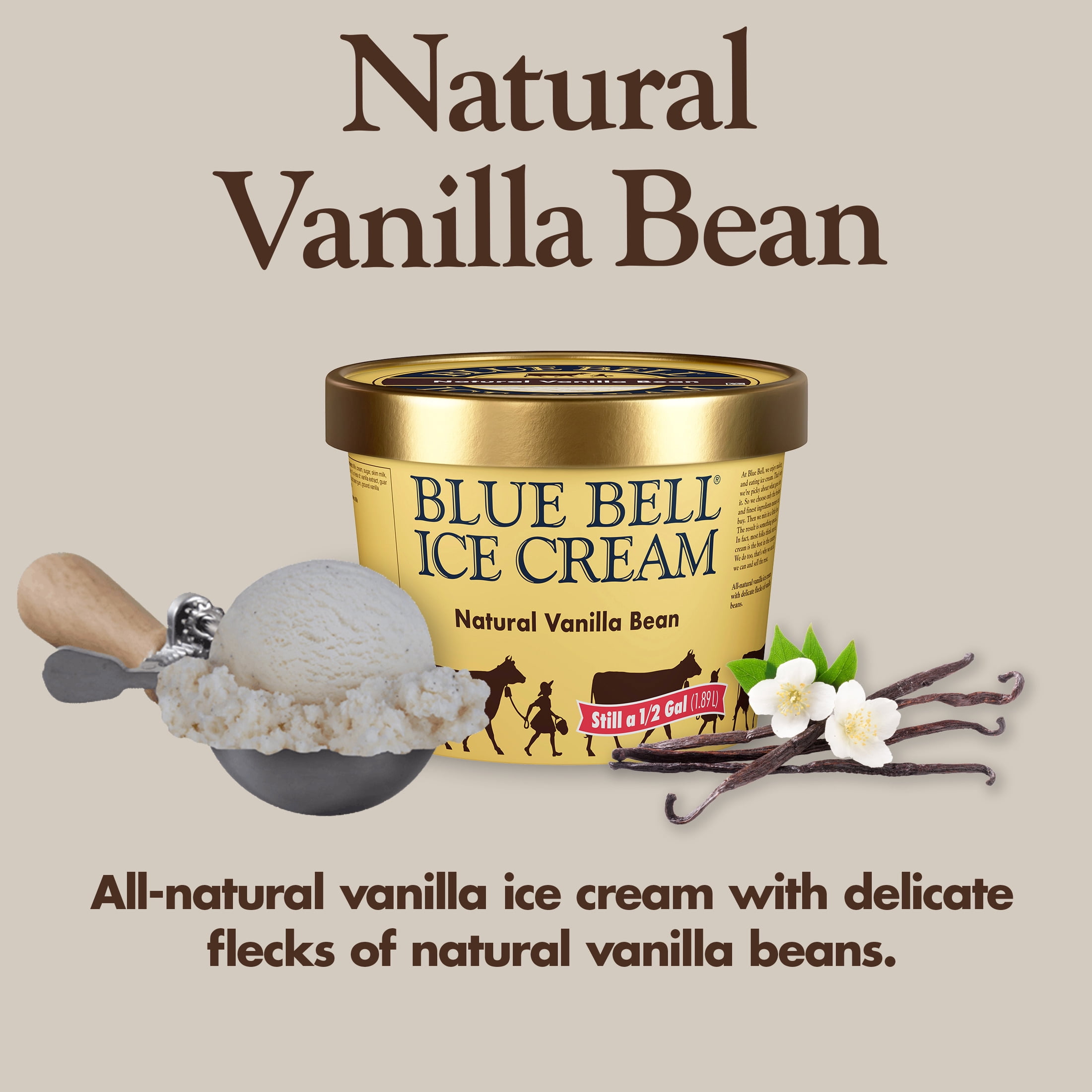 Blue Bell Natural Vanilla Bean Ice Cream Half Gallon, 64 fl oz