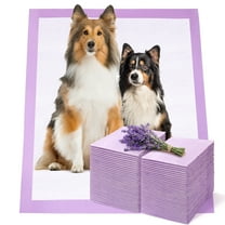Cowb Manm XL Dog Training Pads 50-Count Lavender Scent Disposable Puppy Pee Pads 28x34 Inch Heavy Absorbent