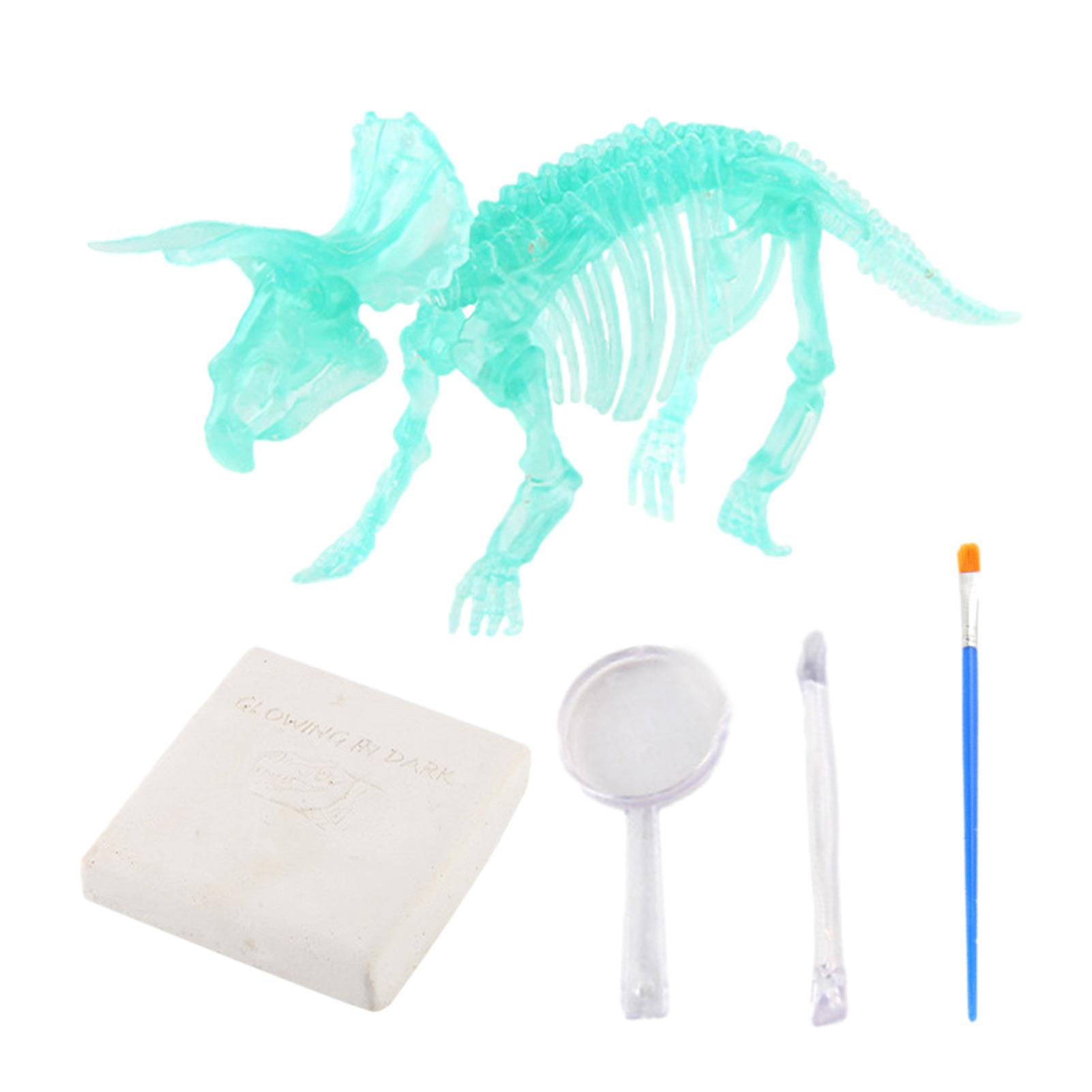 Details about   Glow In The Dark Dinosaur Fossils Digging Excavation Kit Dig Your Own Skeleton 