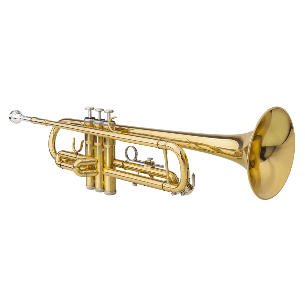Tcbosik Drop B Tone Adjustable Trumpet, Beginner Instrument Set with Gloves, Golden