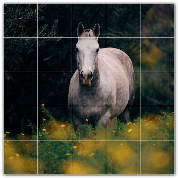 Picture-Tiles.com: Horse Ceramic Tile Wall Mural WAL500744-55L. 40"W x 40"H using (25) 8" x 8" Ceramic Tiles-Satin Finish