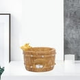 thumbnail image 2 of LOVIVER Pots with Drainage & Plug Resin Flower Pot Creative Plants Planter for Little Duck, 2 of 8