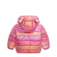 thumbnail image 3 of Ahdbta Puffer Jackets Jackets for Toddler Girls Boys Winter Long Sleeve Cute Ears Hooded Coats Casual Zip Up Shiny Warm Outwears, 3 of 4