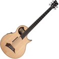 thumbnail image 1 of Alien 5-String Acoustic Bass Acoustic Bass Guitar, 1 of 1