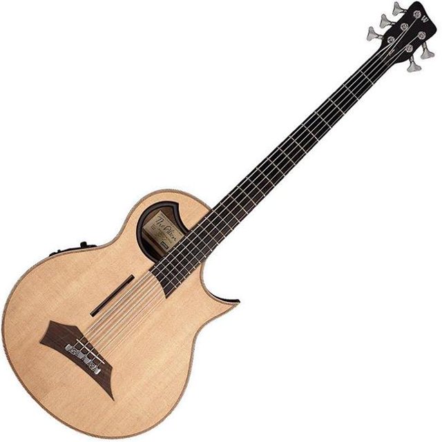 Alien 5-String Acoustic Bass Acoustic Bass Guitar