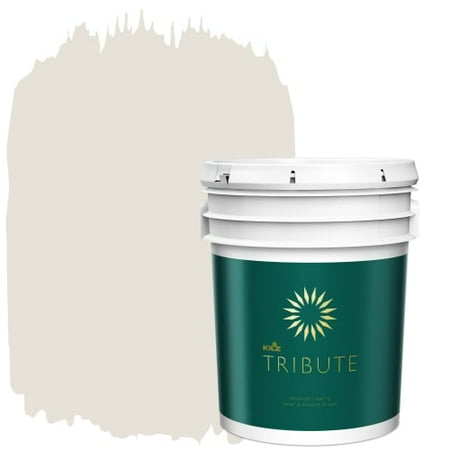 Kilz Tb 07 5 Gal Reserved White Interior Paint Gallon