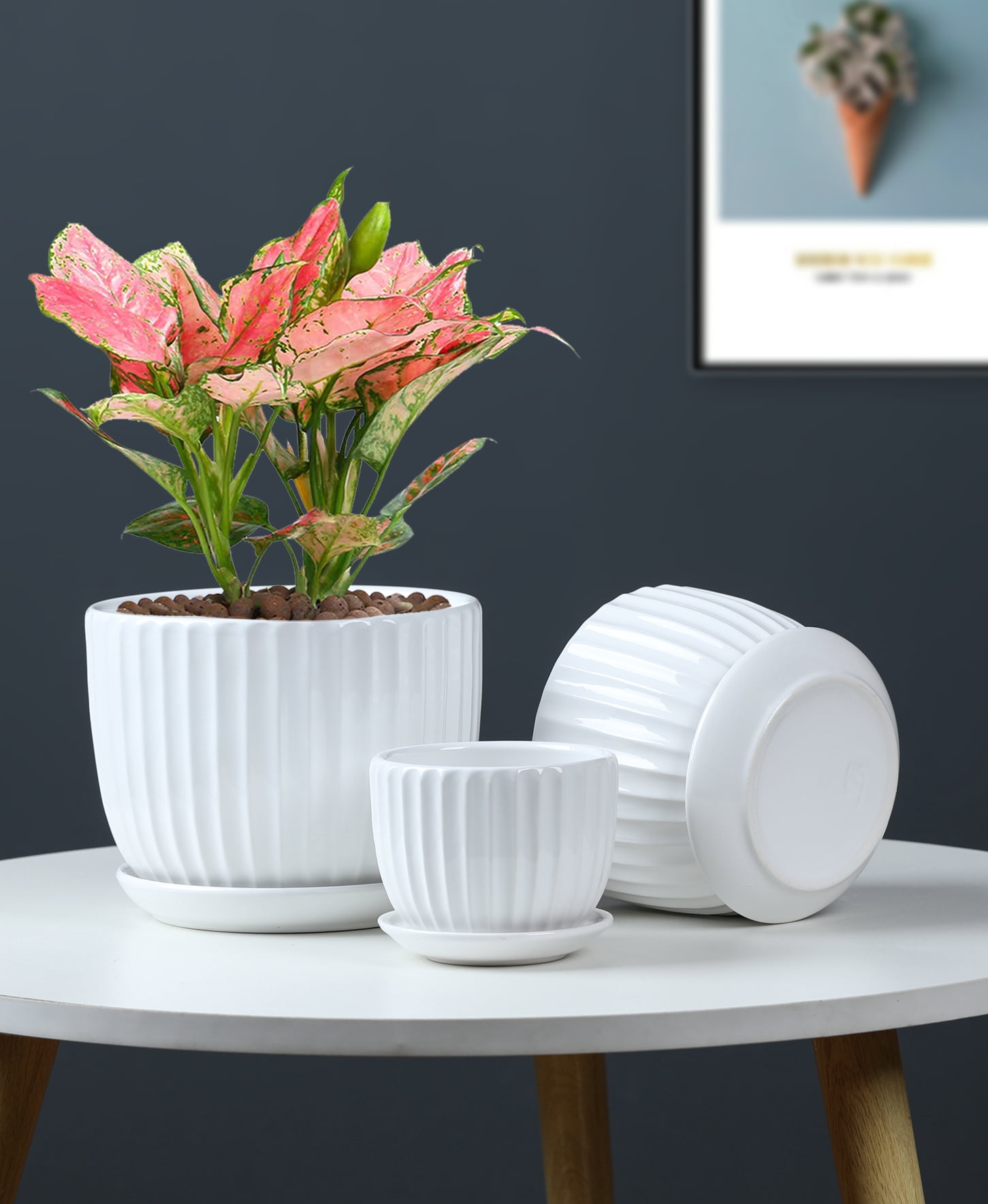 White Plant Pots Set of 3,Indoor Ceramic Flower Pot with Saucers,6.7"&5.5"&3.9" Inch Small to Medium Sized Planters for Plants,Round Modern Garden Pots