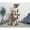 Brown, variant on iPet CFH74 57 in. Cat Tree Condo Scratching Post, 3 Platform, Beige