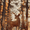 Rustic Deer Silhouette Forest, variant on Qisvanset Jesus Holding Lamb Religious Canvas Wall Art 15.75x11.81 Inches