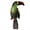 Green, variant on Real Planet 10" Black Colorful Toucan Realistic Stuffed Animal, Zoo Jungle Parrots Plush Toy & STEM Learning Gift for Birthday Boys & Girls