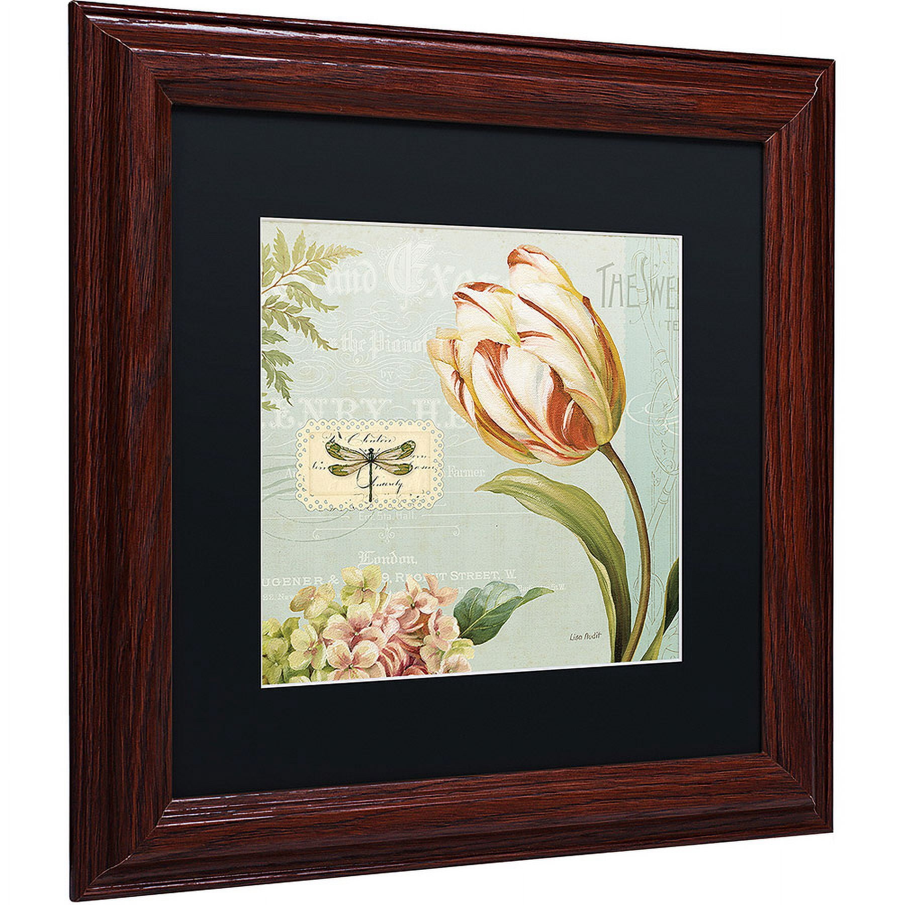 Trademark Fine Art "Mothers Treasure II" Canvas Art by Lisa Audit, Black Matte, Wood Frame