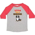 thumbnail image 3 of Inktastic Bernese Mountain Dog Lover Boys or Girls Toddler T-Shirt, 3 of 5