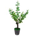 thumbnail image 2 of sunsanly Artificial Bonsai Tree with Light USB Powered Desk Potted Tree Realistic Greenery Fake Green Plant for Office Home Decor, 2 of 8