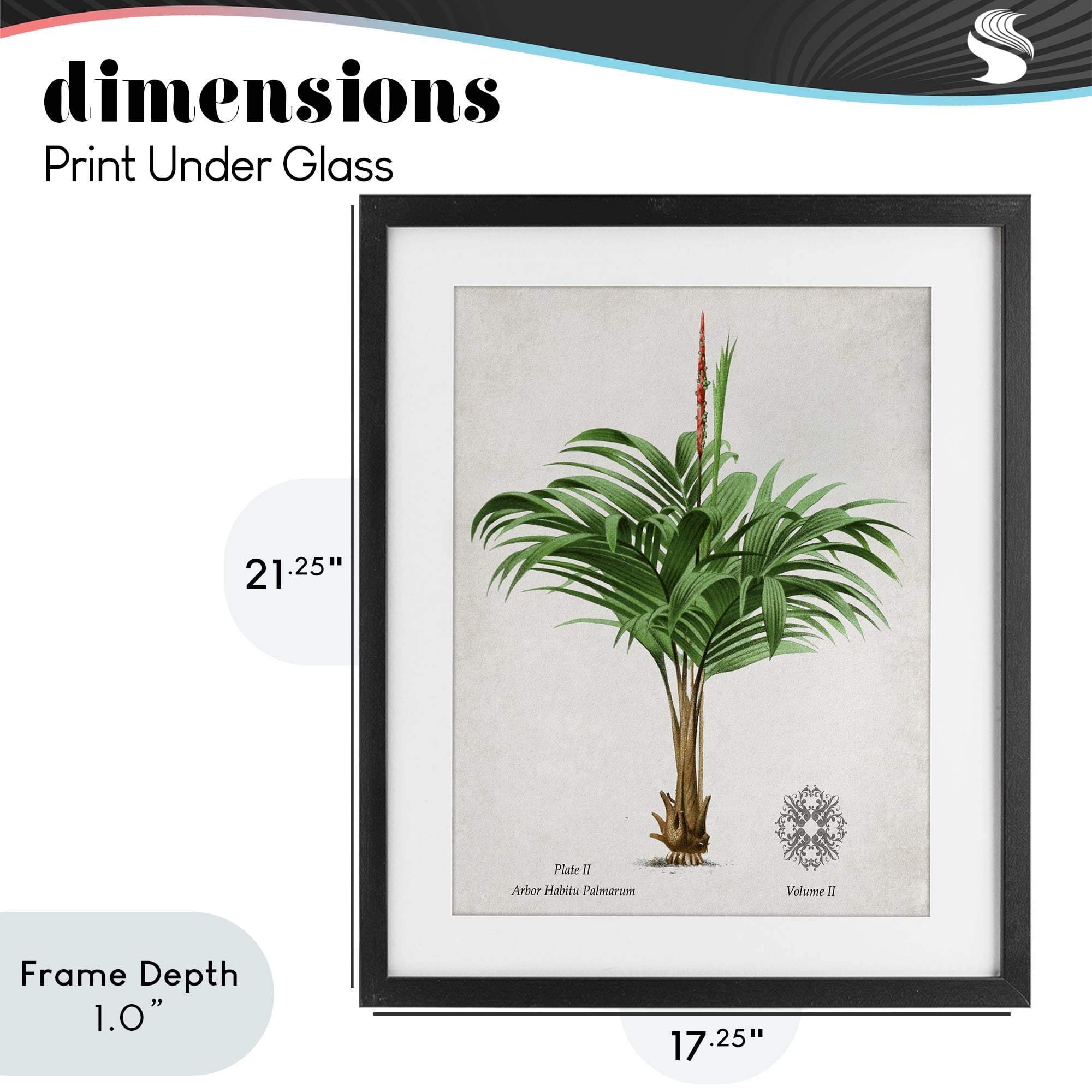 Stupell Industries Natural Palm Variety Study Black Framed Print Under Glass, design by Val Rhodes